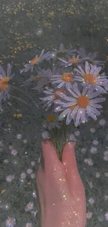 A hand holding sparkling daisies with a dark, dreamy background.