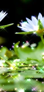 White flowers with sparkling green leaves and water reflection.