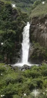 Sparkling waterfall amidst lush green forest landscape.