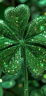 A vibrant green clover with sparkling dew decorated leaves.