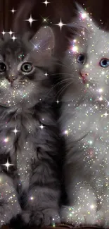 Adorable kittens with sparkling effects on mobile wallpaper.