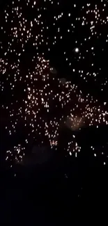 A beautiful fireworks display against a dark night sky.