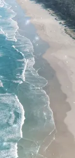 A sparkling ocean beach view with waves and sandy shores under blue sky.