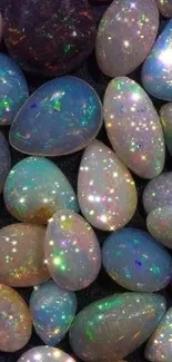 Bright opals sparkle with colorful reflections.