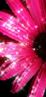 Sparkling pink flower with glowing petals on dark background.