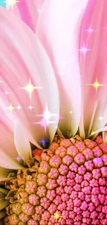 Pink flower with sparkling stars wallpaper, vibrant and elegant.