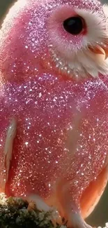 A sparkling pink owl perched, shimmering with glitter.