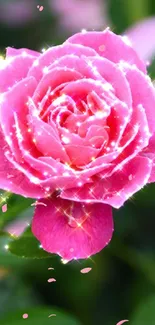 Sparkling pink rose mobile wallpaper with vibrant green background.