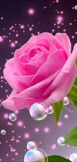 A vibrant pink rose with sparkles and bubbles, perfect for mobile wallpaper.