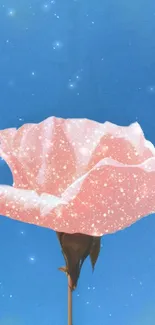 Pink rose with sparkling texture on blue starry background.