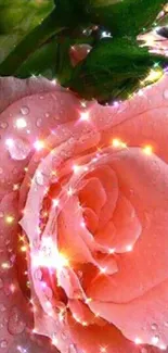 Glittering pink rose with dewdrops and sparkles.