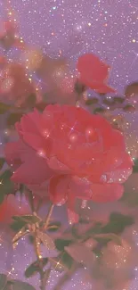 Sparkling pink rose with lavender background.