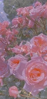 Sparkling pink roses in a dreamy garden.