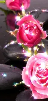 Pink roses with sparkles on dark stones, creating a stunning wallpaper.