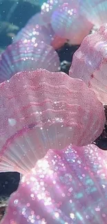 Mesmerizing sparkling pink shells underwater.