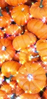 Sparkling orange pumpkins with festive light effects.