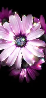 Mobile wallpaper with sparkling purple flower on black background.