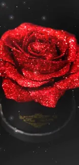 Sparkling red rose against black background.