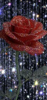 Sparkling red rose with glittering background.