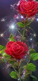 Mobile wallpaper with sparkling red roses and green leaves.