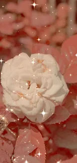 Sparkling white rose with red leaves wallpaper