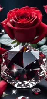 Sparkling diamond surrounded by red roses.