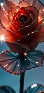 A close-up of a sparkling rose on a blue background.