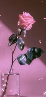 Pink rose in a vase with sparkling effect on pink background.