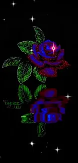 Sparkling red and blue rose with reflection on a black background.