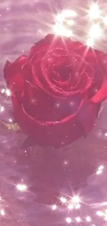 A single red rose amid sparkling pink water, creating a magical visual effect.