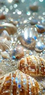 Sparkling seashells on a sunlit sandy beach