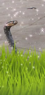 Snake in green grass with sparkling stars.