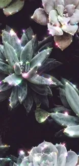 Sparkling succulents on dark background mobile wallpaper.