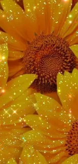 Vibrant sunflower wallpaper with sparkling accents, featuring golden yellow petals.