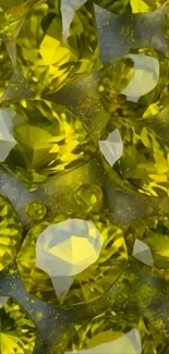 Sparkling yellow gemstones with a brilliant shine.