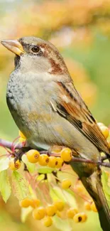 Sparrow perched on a berry branch, vibrant and lush.