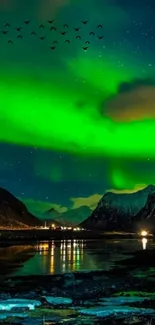 Stunning mobile wallpaper of green auroras illuminating a Norwegian landscape.