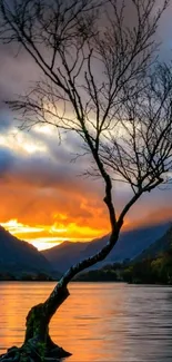 Serene sunset over lake with tree silhouette reflecting vibrant colors.