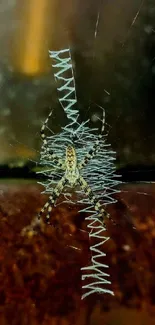 Detailed spider web on a rusty surface with intricate patterns in brown and gray.