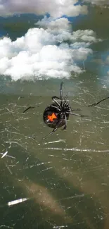 Black spider with red markings on a web against a cloudy sky background.