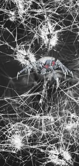 Abstract wallpaper with a spider and cracked glass design.