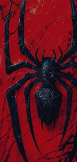 Black spider emblem on a vivid red background.