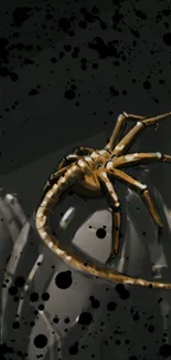 Artistic spider illustration on a dark background with abstract elements.