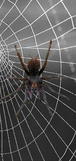 Spider on web, dark backdrop, detailed design wallpaper.