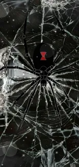 Spider on shattered glass background design.