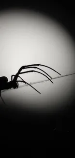 Spider silhouette in spotlight, dark and artistic mobile wallpaper.