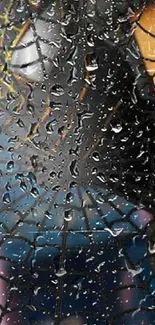 Spider web with raindrops against colorful abstract background.