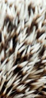 Close-up of spiky texture in nature, soft focus design.