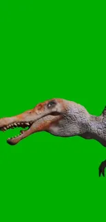 Spinosaurus dinosaur art with a green background.