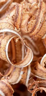 Close-up of spiral wood shavings texture in warm brown tones.